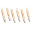 2 PCS E14 LED Light Bulb 3w Golden Tubular Bulb for Pendant Wall Scones Tube Light Bulbs Desk Lamp