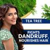Himalaya Anti Dandruff Tea Tree Conditioner For All Hair Types 80ml – Nourishes, Smoothens, Reduces Breakage, Leaves Hair Soft And Healthy