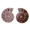 Decorațiuni pentru casă – Accesorii pentru decor