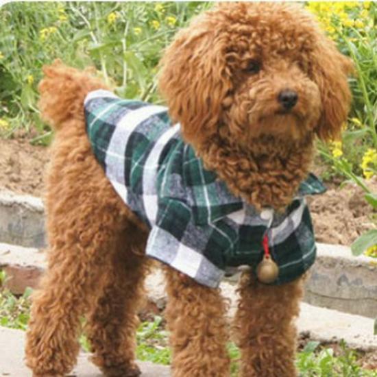 Plaid Dog Wedding Outfit - Shirt and Dress for Small To Medium Breeds