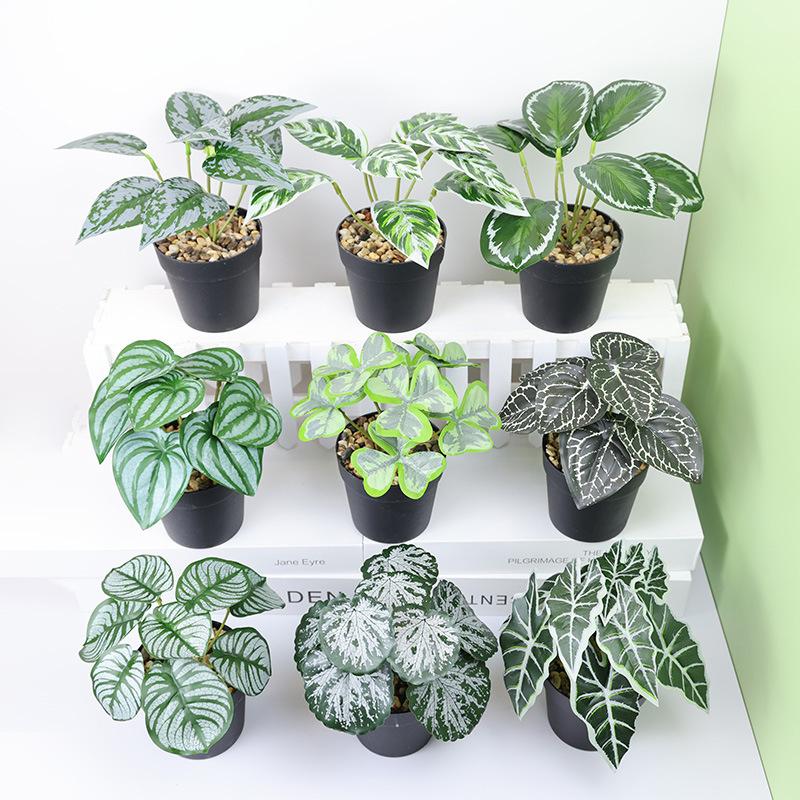 

Стол Горшечные украшения Имитация Горшечные растения Искусственные цветы Искусственные растения Бонсай Маленькое дерево