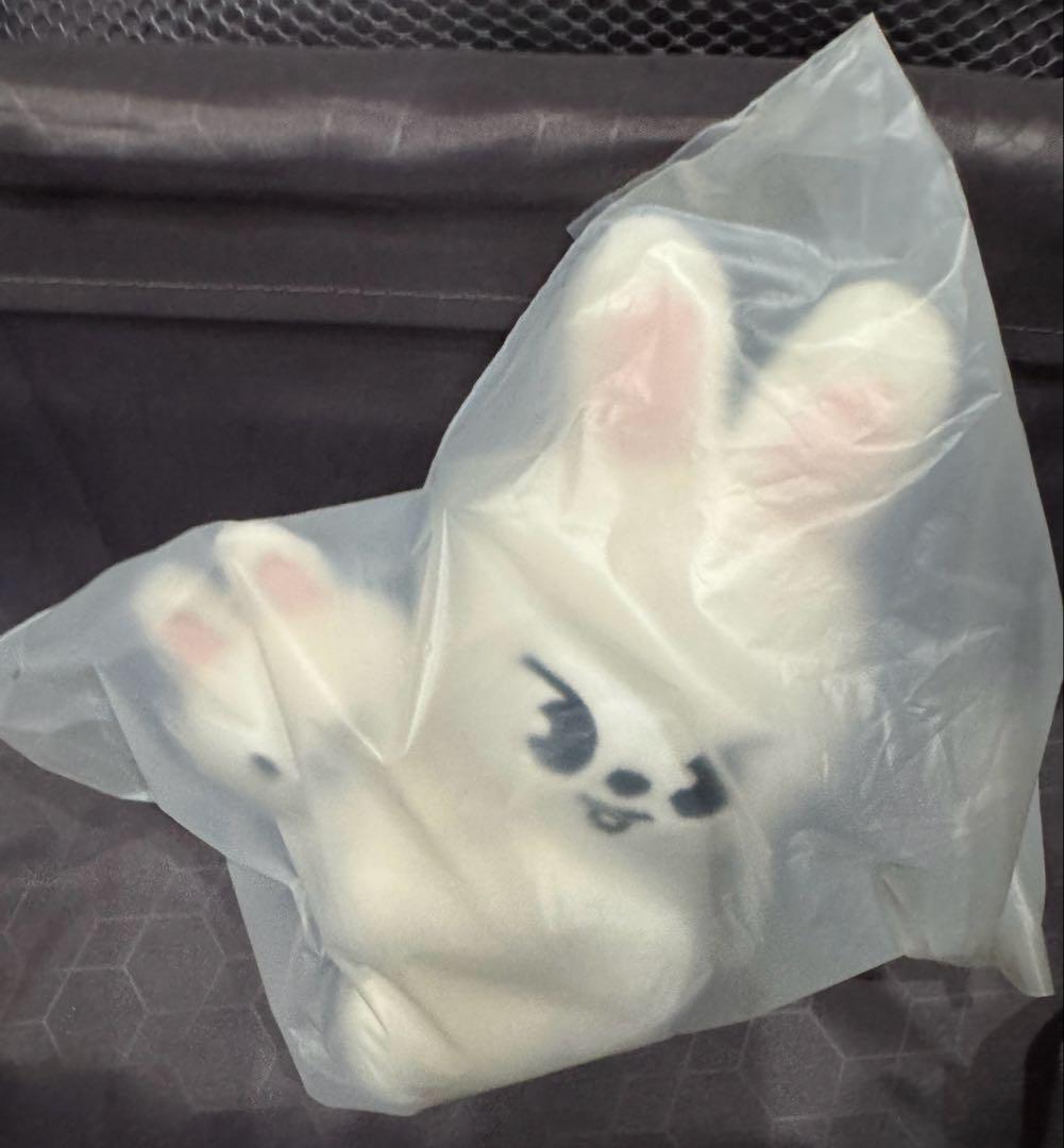 

[Б/У] НАБОР МАГНИТНЫХ ПЛЮШЕВЫХ ИГРУШЕК SKZOO Levit