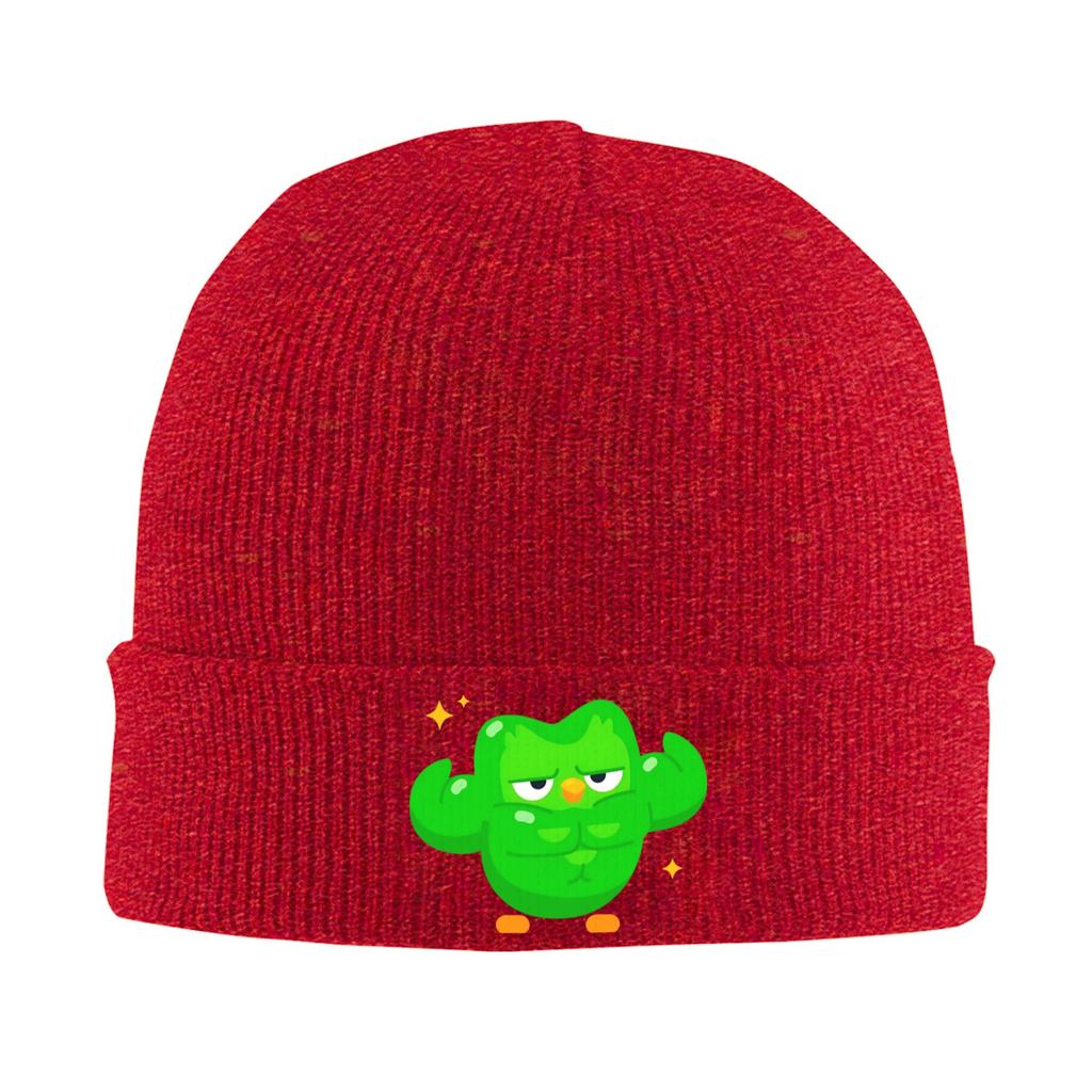 Minimalistisches Duolingo Lustiges Duolingo Meme Strickmütze Street Y2K Kappen Erwachsene Unisex Kpop Beanie Mützen Winter Elastische Mützen