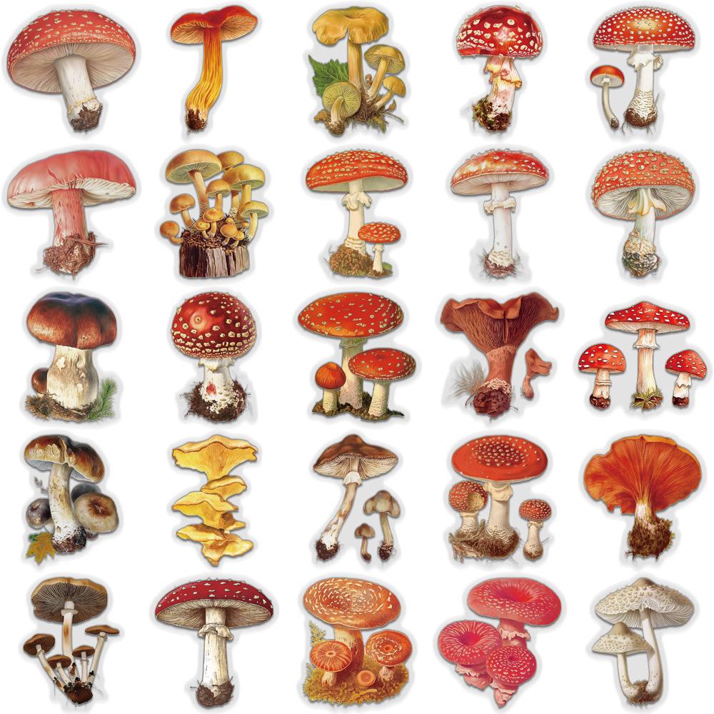 50 Creative Retro Mushroom Transparent PET Stickers for Journaling & Decoration