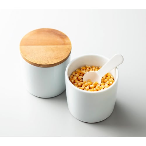 Anesty Moisture-Absorbing Measuring Spoon, 5ml, 8.8cm W X 3.3cm D X 1.8cm H, Karari Porous Ceramic, 1 Teaspoon, Absorbs Moisture, HO2160, White