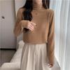 Women's Winter 2022 Mink Velvet Lace Shirt - Slim Fit, Half-High Collar, Solid Color Top