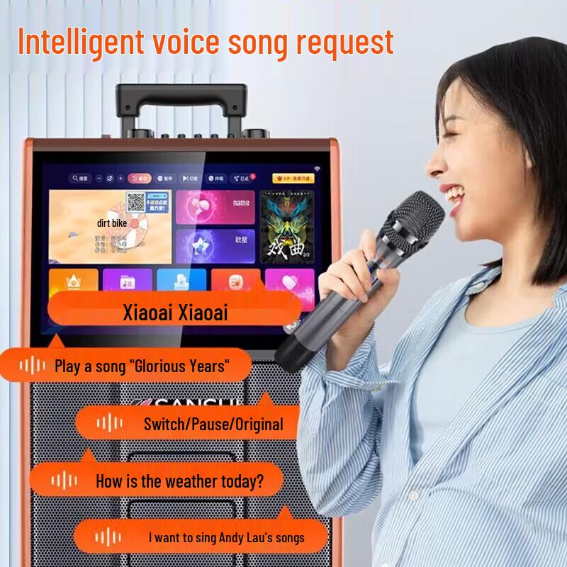 SANSUI PC126 12-inch Wooden Portable KTV Karaoke Speaker System with 22-inch Display