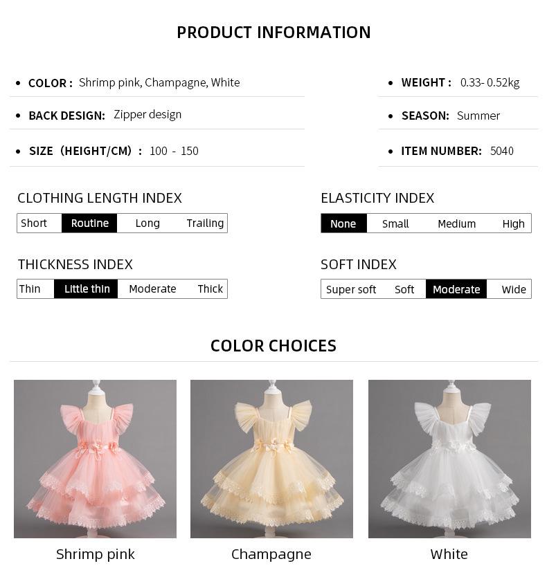 Little Girl's Puffy Princess Dress - Wedding, Birthday, Piano Performance Summer Outfit