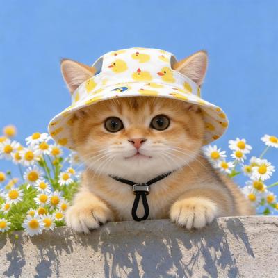 Summer Pet Sun Hat Cartoon Breathable Ear Exposed Outdoor Headwear for Cats Dogs