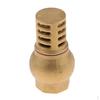 Metal Brass Foot Valve for Reliable Performance