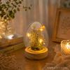 PD COLLECTION Preserved Flowers - Daisy (Japanese-made) with LED Light - Flower Gift, Present, Gift for Celebrations, Birthdays, Anniversaries,
