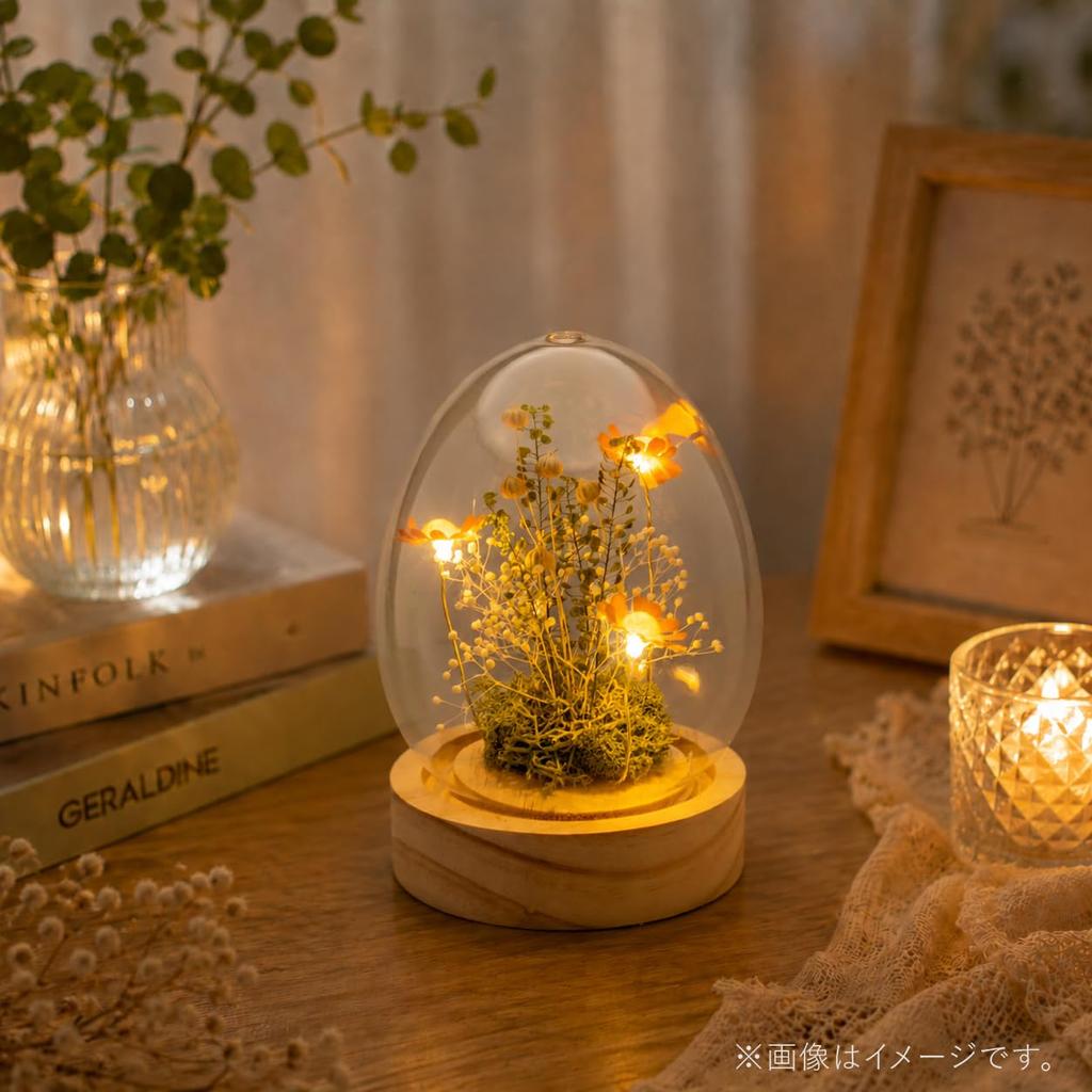 PD COLLECTION Preserved Flowers - Daisy (Japanese-made) with LED Light - Flower Gift, Present, Gift for Celebrations, Birthdays, Anniversaries,