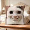 Funny Meme Cat Print Pillow Cover, Cute Humorous Cat Cushion Case For Sofa Bedroom Living Room, Novelty Home Decor Gift