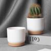 Large/Small White Succulents Planter Plastic Plant Pots White Container Pot