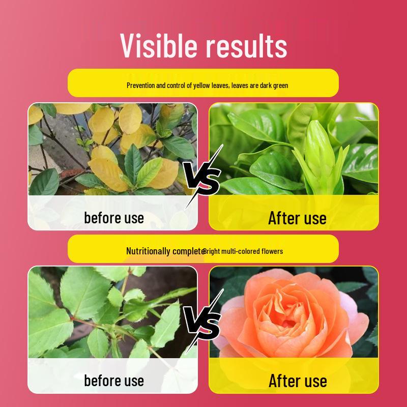 Rapid Bloom Powder: Universal Flower Inducer for Bougainvillea, Camellia, Jasmine & Potted Plants