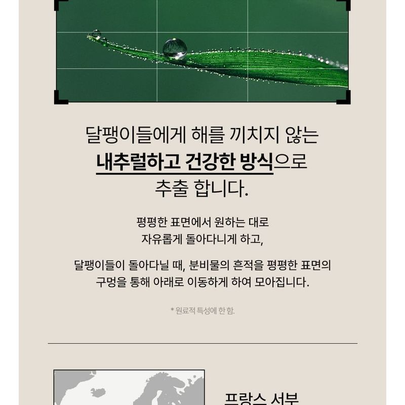 NATURE REPUBLIC - Snail Solution Skin Booster Mask Sheet