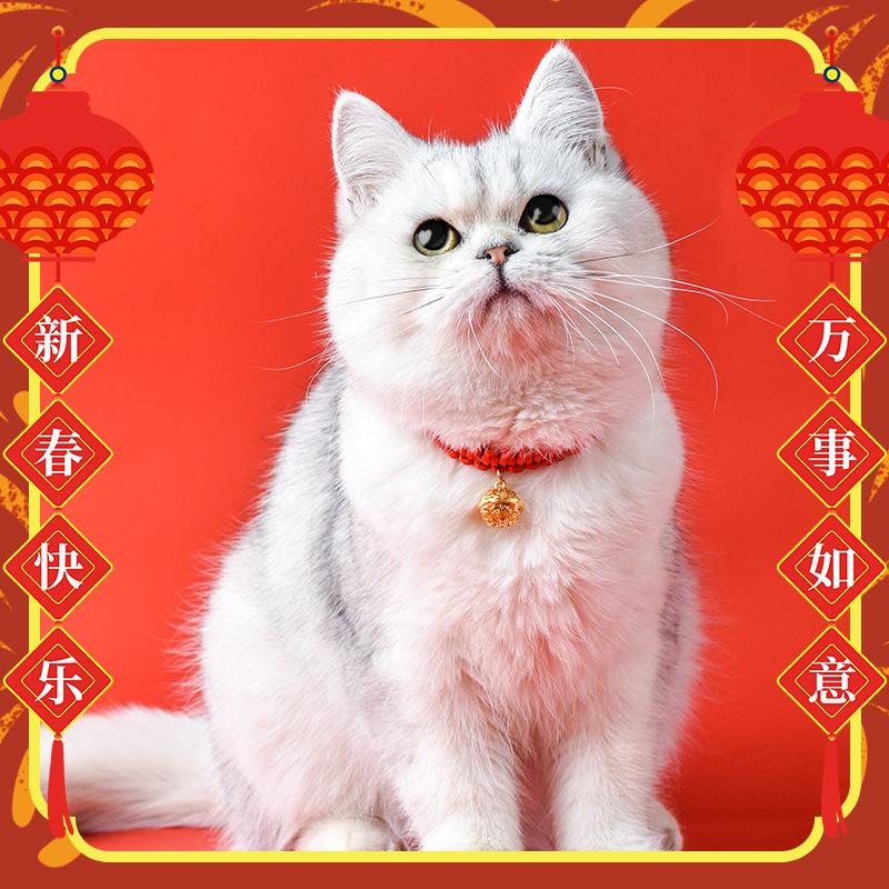 Kočičí obojek Červený provaz Pletený obojek Nastavitelný Nový rok Tradiční Štěstí Požehnání Domácí mazlíčci Štěňata Psí zvonek Náhrdelník Doplňky pro domácí mazlíčky