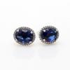 S925 Sterling Silver Blue Diamond Halo Stud Earrings - Elegant Gift for Women