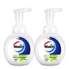Walch Foam Antibacterial Hand Wash