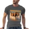 Horses Galloping on the Beach  TShirt Casual Daily Outfit TShirt