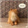 Ninian and Kino Plush Dog, Realistic Lying Down Puppy, Approximately 40cm Long, Pet (Pomeranian)