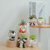 A Cute Animal-Themed Ceramic Planter for Succulents, Perfect for Decorating Your Balcony Table. Gardening Gift Home Decor