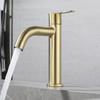 Basin Bathroom Basin Faucet Tap Bathroom Single Cold