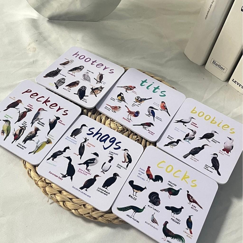 American Style Bird Pun Coasters Set Of 6 Durable Wooden Coasters Unique Home Decor