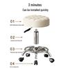 Professional Salon Swivel Stool with Backrest