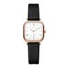 2025 New Roman Numeral Small Square Elegant Women Watch Two-Hand Semi-Waterproof Casual Business Watch