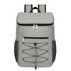 Li Shen Portable Insulated Picnic Cooler Backpack