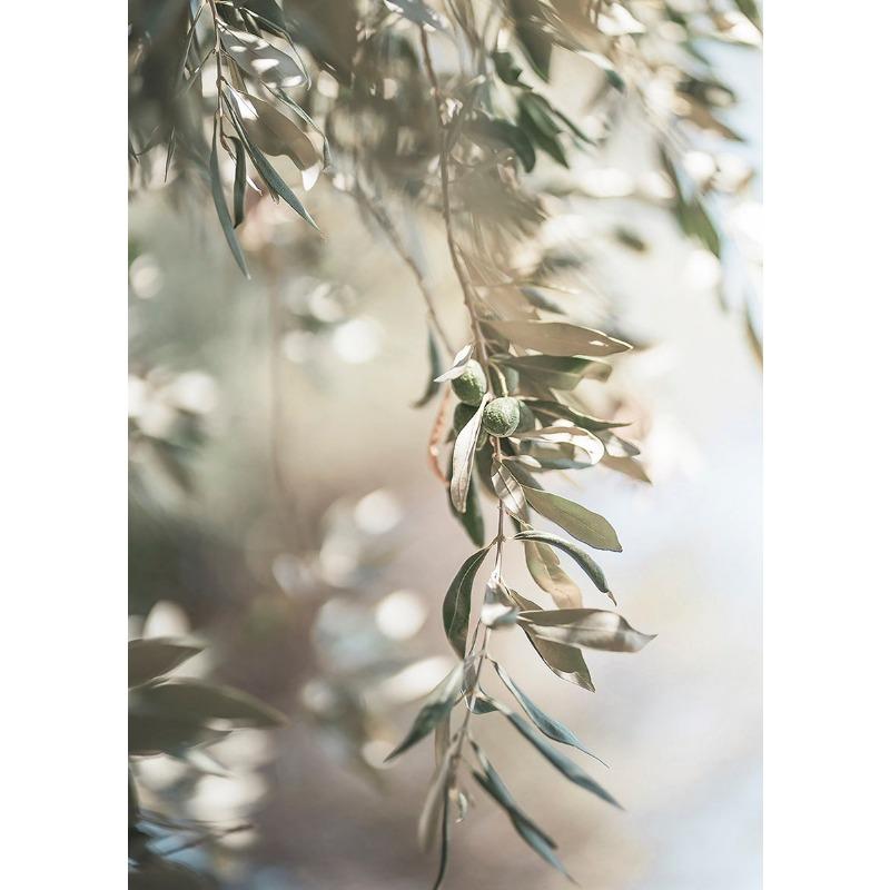 

Итальянский сельский туризм Пейзажные постеры и принты Картина на холсте Природный пейзаж Настенные картины Украшение дома Барная комната 21cm×30cm NoFrame