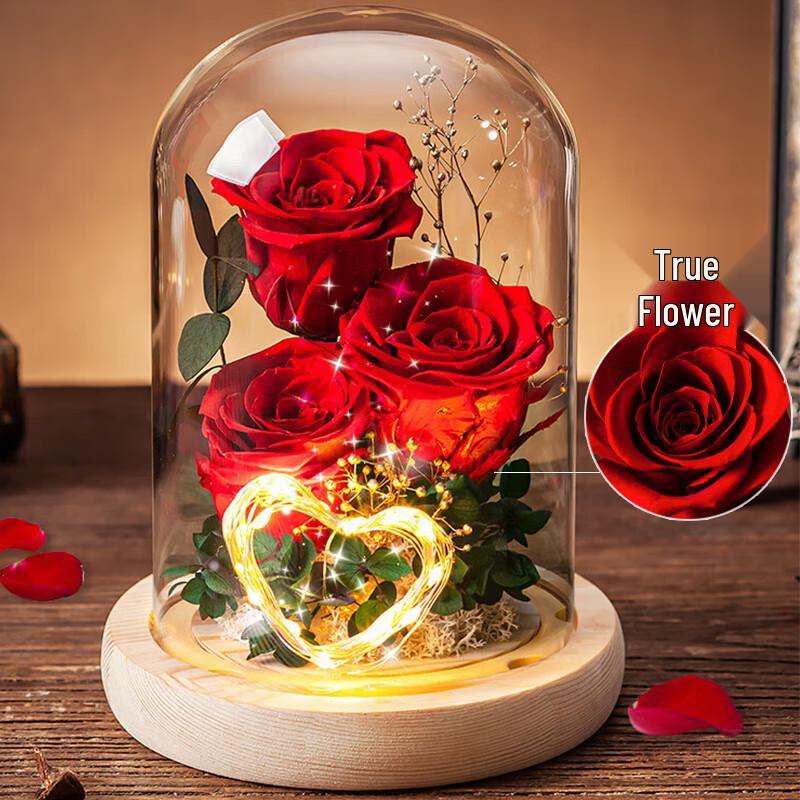 Ivenran Preserved Rose Night Light Gift Box