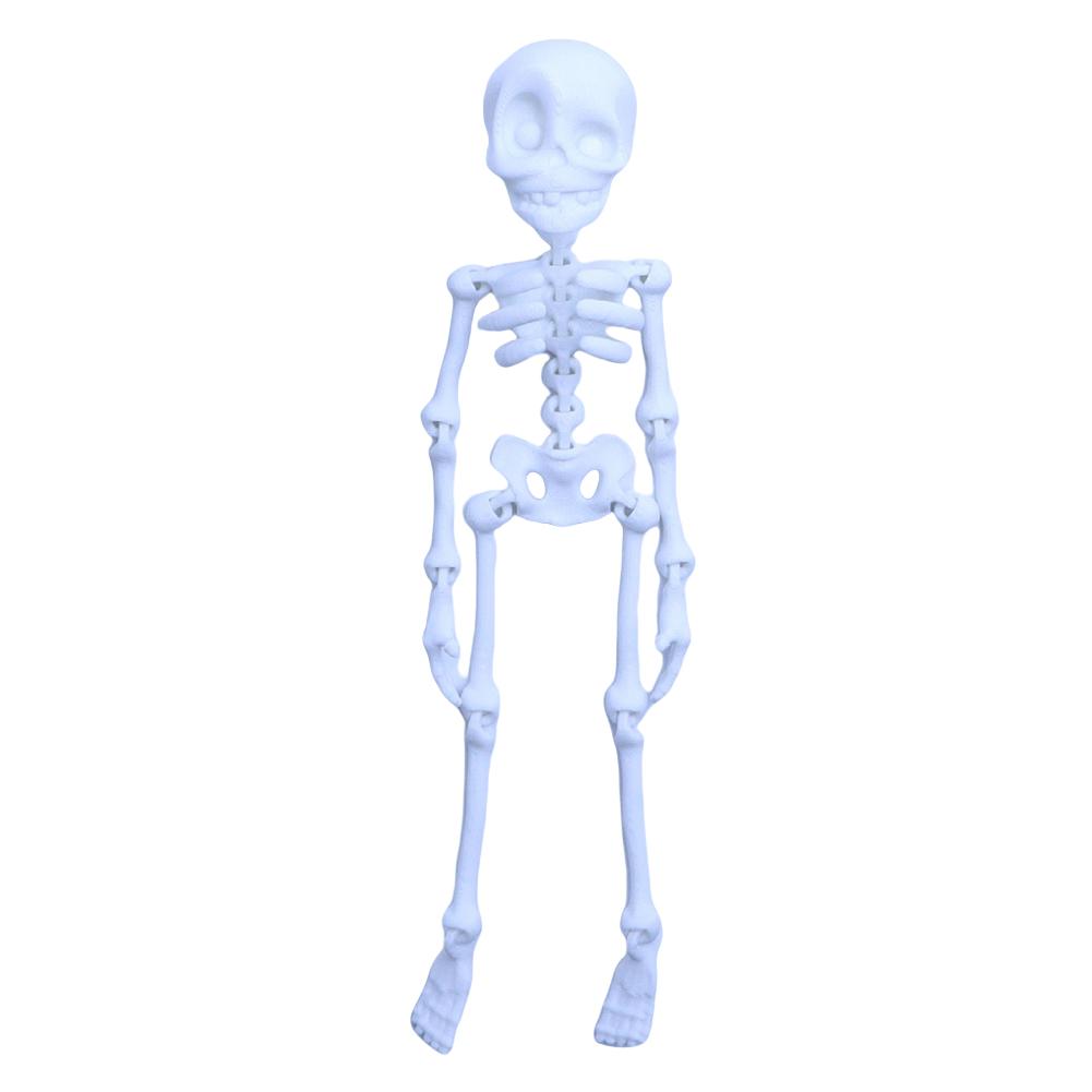 

Poseable Skeleton Fridge Magnet with Movable Joints Skull Fridge Magnets for Kitchen Office and Locker Halloween Decoration