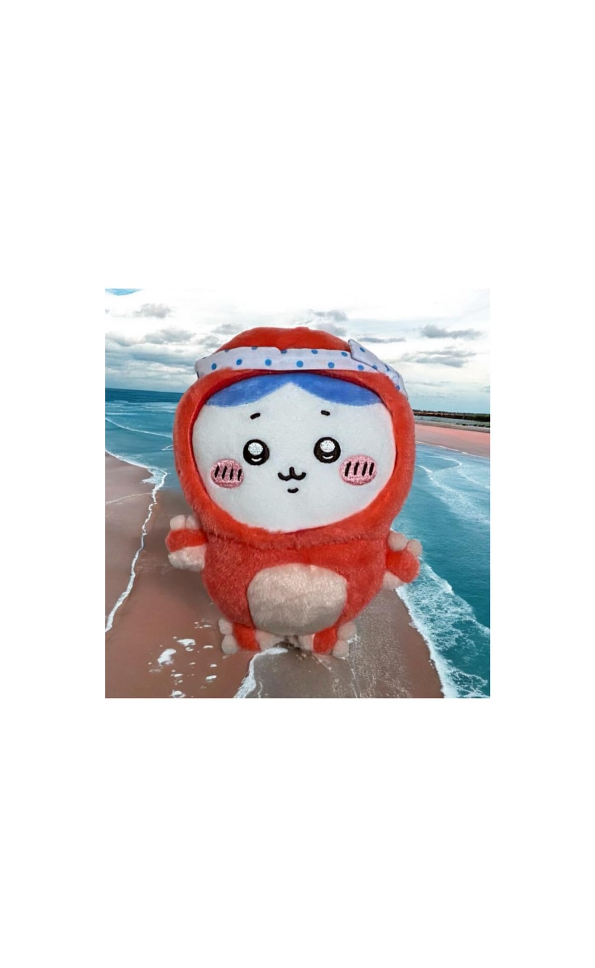 

Официальная плюшевая игрушка «Осьминог и кальмар» (Хачива) [Продукт]