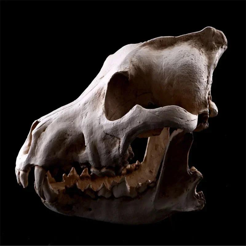 Resin Craft Halloween Decoration Lifelike Wolf Skull Statues Creative Home Decoration Skull Statue Sculpture Art Sketch Model