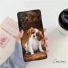 Cavalier King Charles Spaniel Phone Case For Samsung Galaxy S24 S25 S23 S22 Ultra Note 10 20 Plus S20 S21 FE Cover