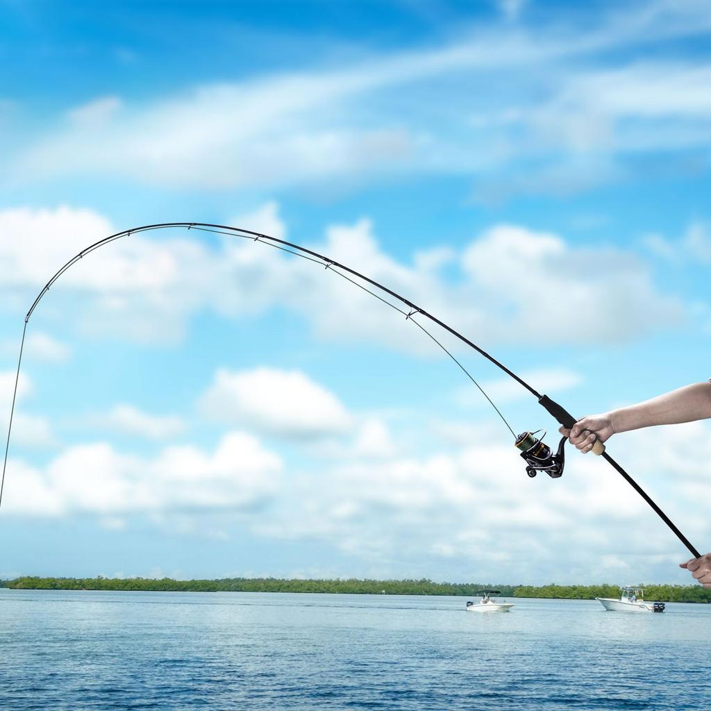 Goture POLLUX Slow Jigging Rod with Detachable Grip Jigging Rod Solid Top Sea Fishing Spinning Rod 632MLS 1.89M/6.3ft