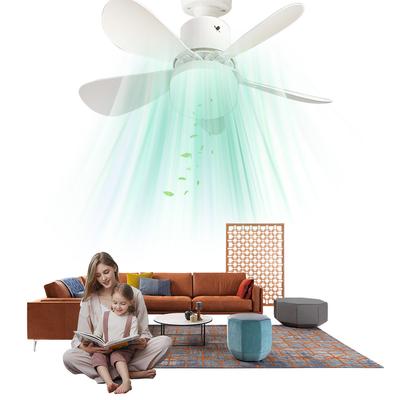 30W LED Bulb Ceiling Fan Remote Control Chandelier Ceiling Fan Dimmable Indoor Ceiling Fan Light for Bedroom Living Room Kitchen