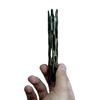 Jijijing One Wish Willow Stick, Wishing Wish-Making Snap Breakable Magic Charm, Creepy Decor for Haunted House & Film Memorabilia Display