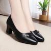 Women's Leather Pointed-Toe Pumps Comfortable Chunky Heel Dress Shoes with Rhinestone Detail
