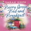 Berry Grove Bed and Breakfast by Sarah Hope Paperback Book 9781805491316
