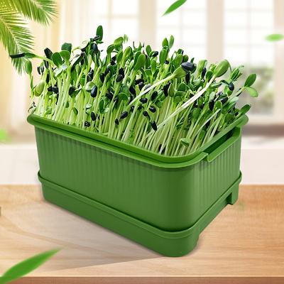 Sprouting Tray Box Vegetable Soilless Pea Bean Seedling Nursery Trays Hydroponics Sprout Plate Seed Sprouter Garden Tools