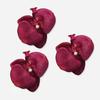 3pc/set Pearl Bride Flower Side Clip Sweet Chinese Style Hairpin Butterfly Orchid Hair Clip  Beach