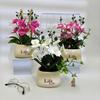 Butterfly Orchid Artificial Plant For Photography Decor And Home Styling