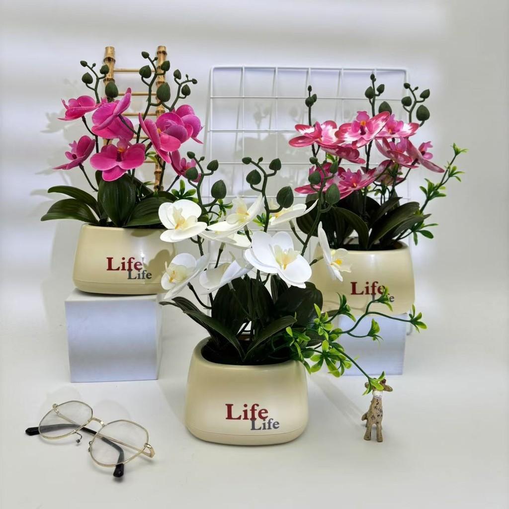 Butterfly Orchid Artificial Plant For Photography Decor And Home Styling