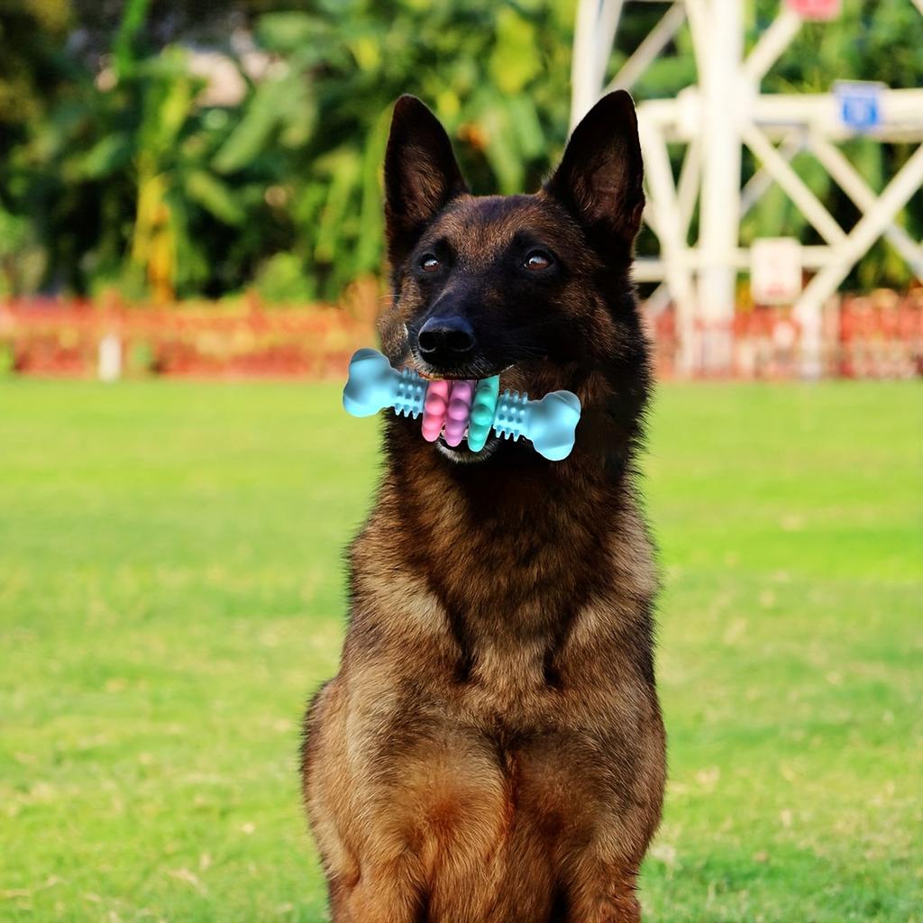 [Unzerstörlicher Hundekauartikel] Langlebiges unzerstörbares Hundekauknochen-Spielzeug | Thermoplastischer Gummi|Zahnreinigung, Training, Langeweilebekämpfung für kleine mittelgroße Hunde