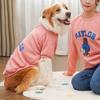 Vêtements d'automne et d'hiver pour animaux de compagnie adaptés aux familles pour grands chiens, chats, chiens Teddy, sweats à capuche en peluche pour chats, Golden Retrievers et chats obèses