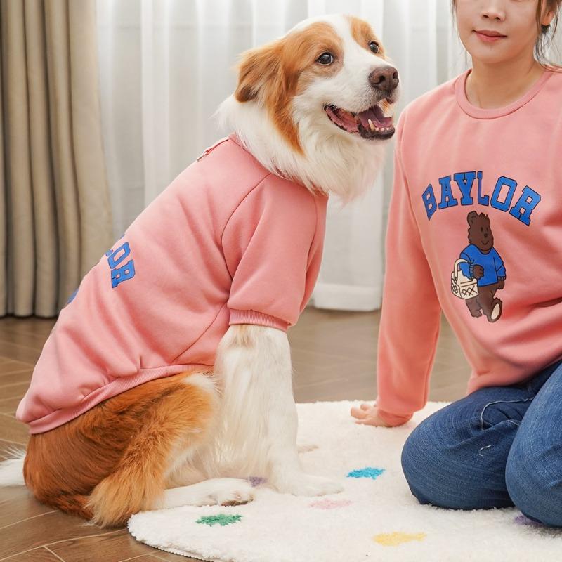 Vêtements d'automne et d'hiver pour animaux de compagnie adaptés aux familles pour grands chiens, chats, chiens Teddy, sweats à capuche en peluche pour chats, Golden Retrievers et chats obèses