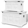 VidaXL Set of Two Storage Chests White